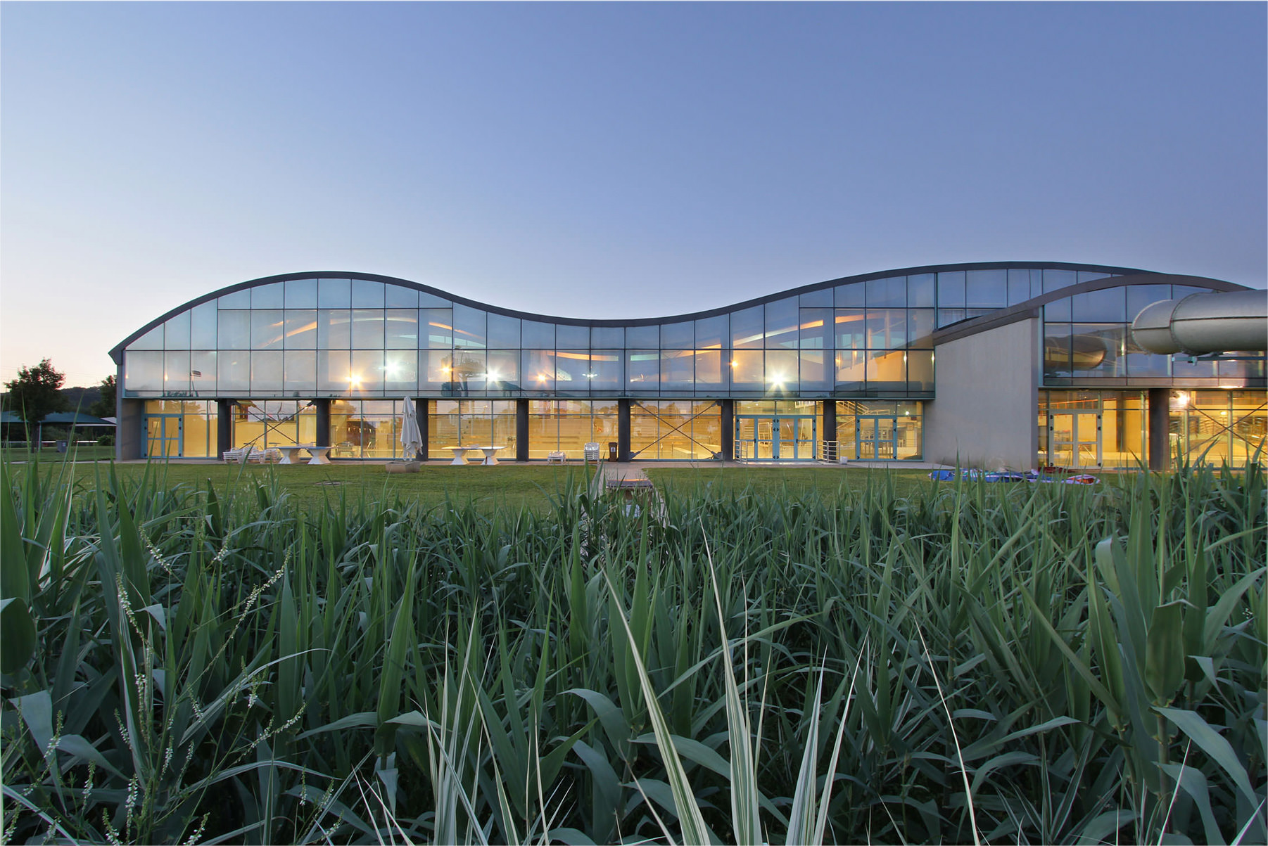 Photographie de la courbure en forme de vague de la piscine vitrée au crépuscule depuis les hautes herbes de l'espace végétalisé