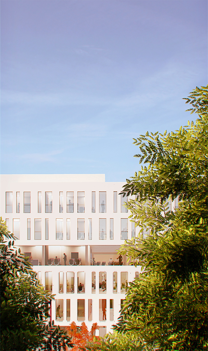 Perspective verticale de la vie du bâtiment à travers le vitrage derrière les arbres au premier plan
