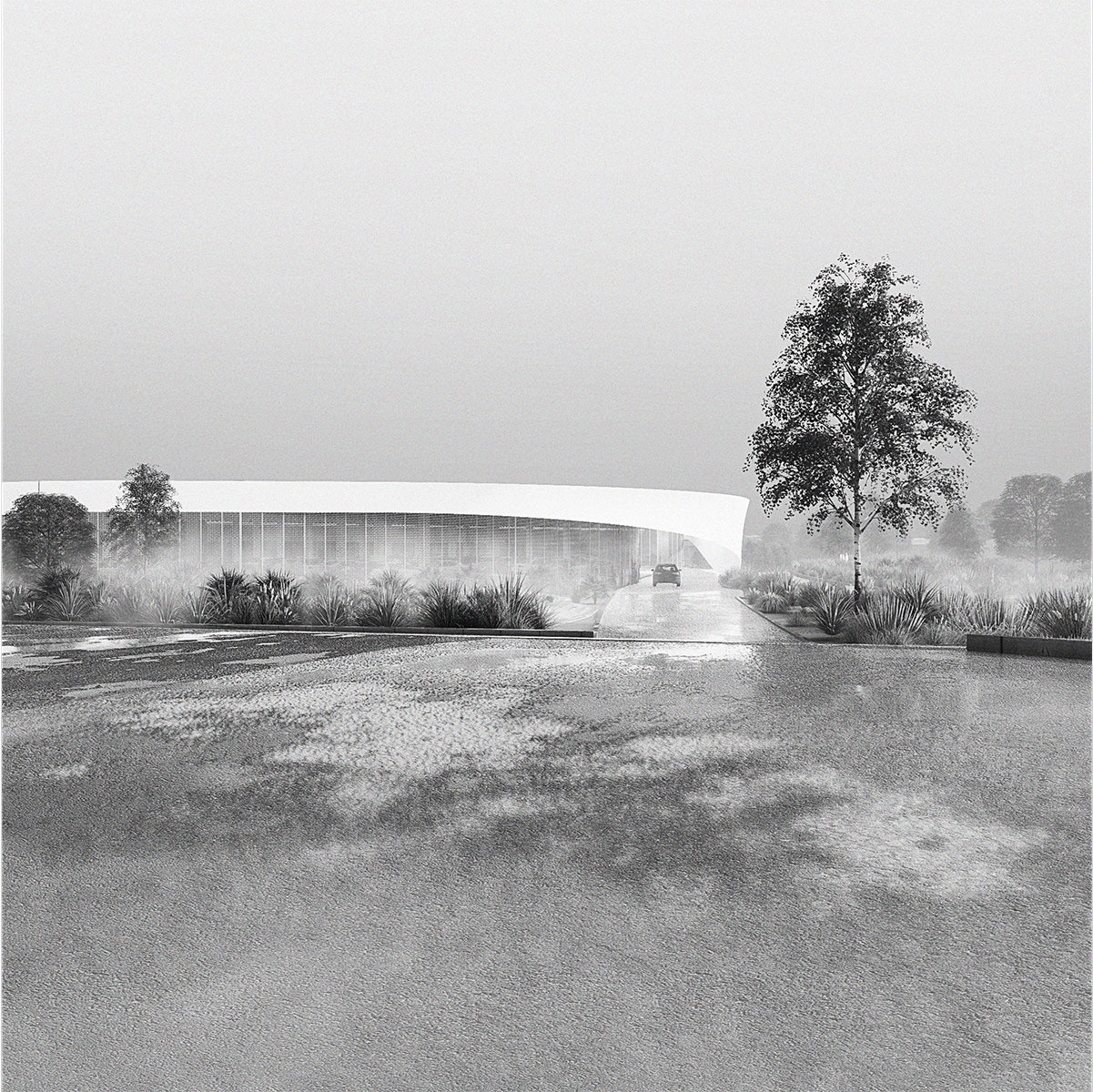 Perspective noir et blanc minimaliste de la courbe blanche du batiment qui ressort du brouillard