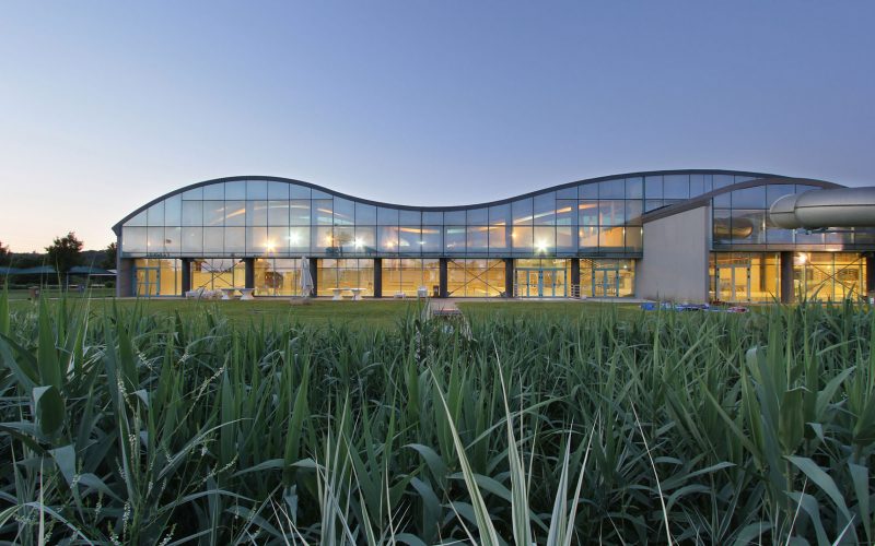 Photographie de la courbure en forme de vague de la piscine vitrée au crépuscule depuis les hautes herbes de l'espace végétalisé