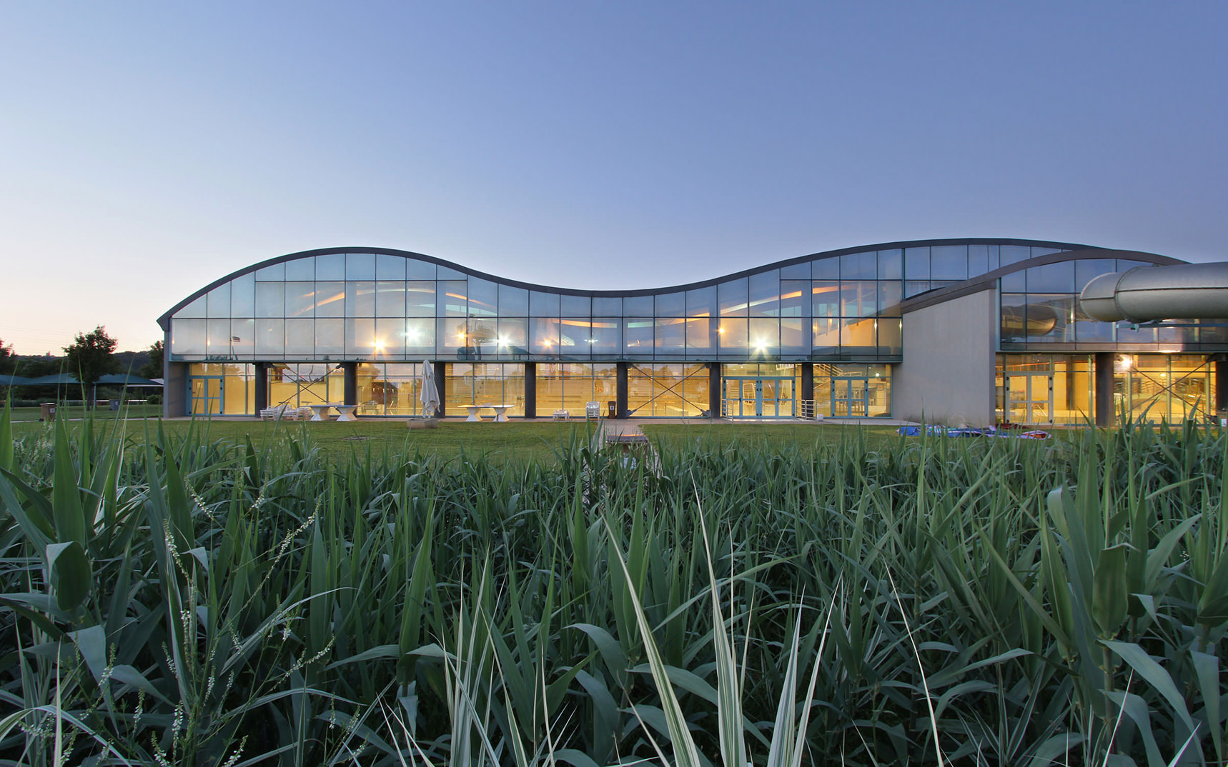 Photographie de la courbure en forme de vague de la piscine vitrée au crépuscule depuis les hautes herbes de l'espace végétalisé