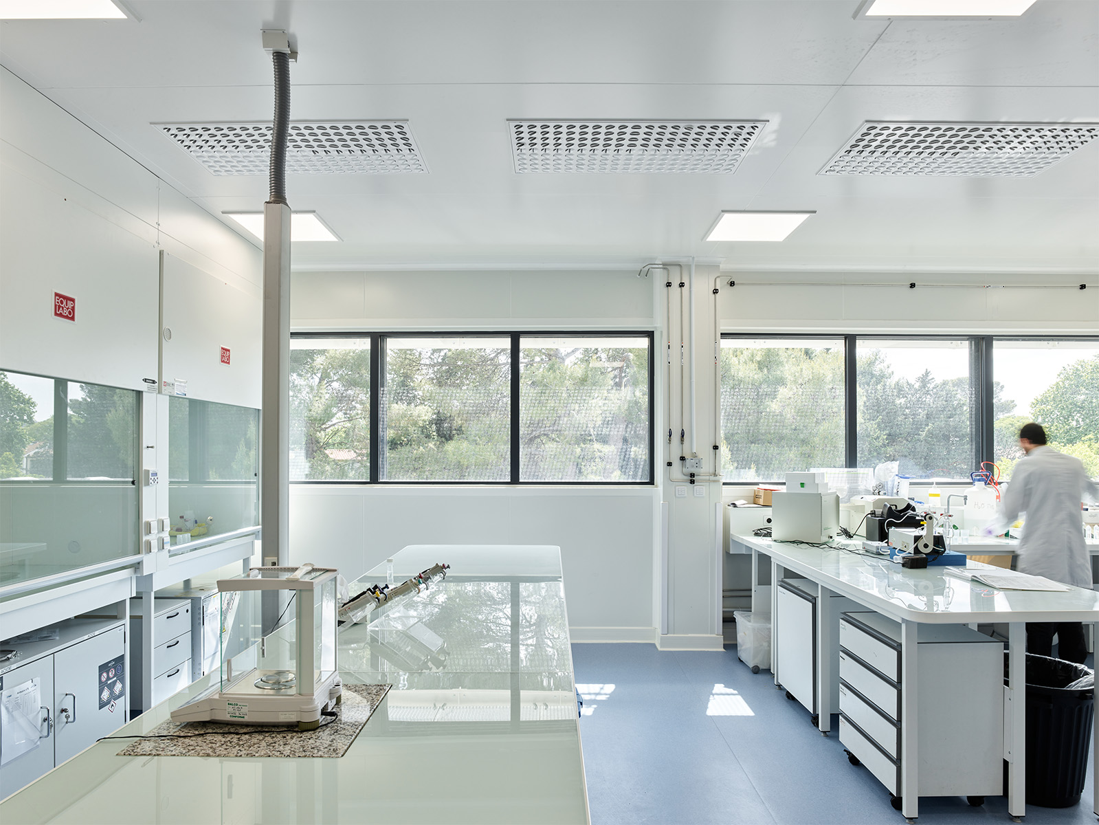 Photographie d'un laboratoire face aux fenêtres bandeaux qui apportent la végétation de la cours dans le laboratoire, une personne travaille à droite