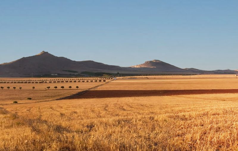 Photographie des prairies et montagnes de la région de la ville d'Oujda