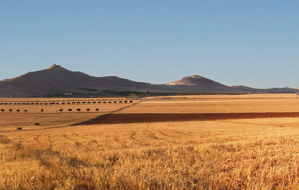 Photographie des prairies et montagnes de la région de la ville d'Oujda