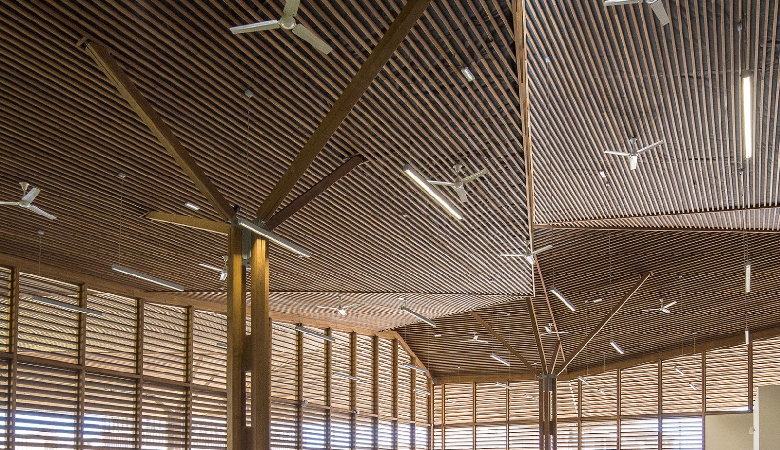 Photographie du plafond en facette style origami avec des lamelles de bois avec différentes orientation par face, poteaux bois qui se divise en étoile et ouverture extérieure tamisé par des lames bois horizontales tout hauteur