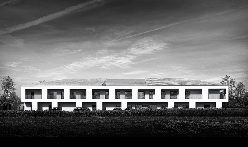 Perspective 3D noir et blanc de la facade de loin depuis la végétation