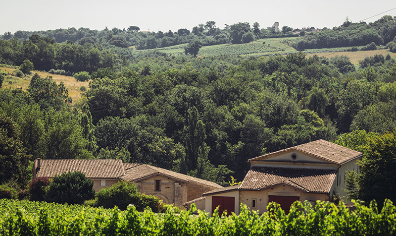 Photographie depuis les vignes vue sur les collines et sur les toitures en tuile du domaine avec des bâtisses plus ou moins récentes