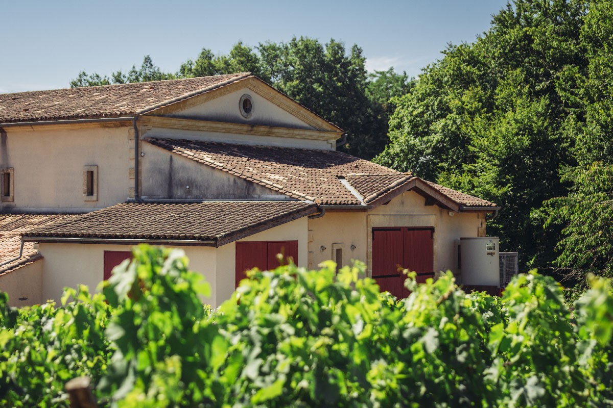 Photographie depuis les vignes, vue d'un bâtiment plus moderne avec des grandes portes de locaux technique adossé à une bâtisse plus ancienne, arrière plan arboré